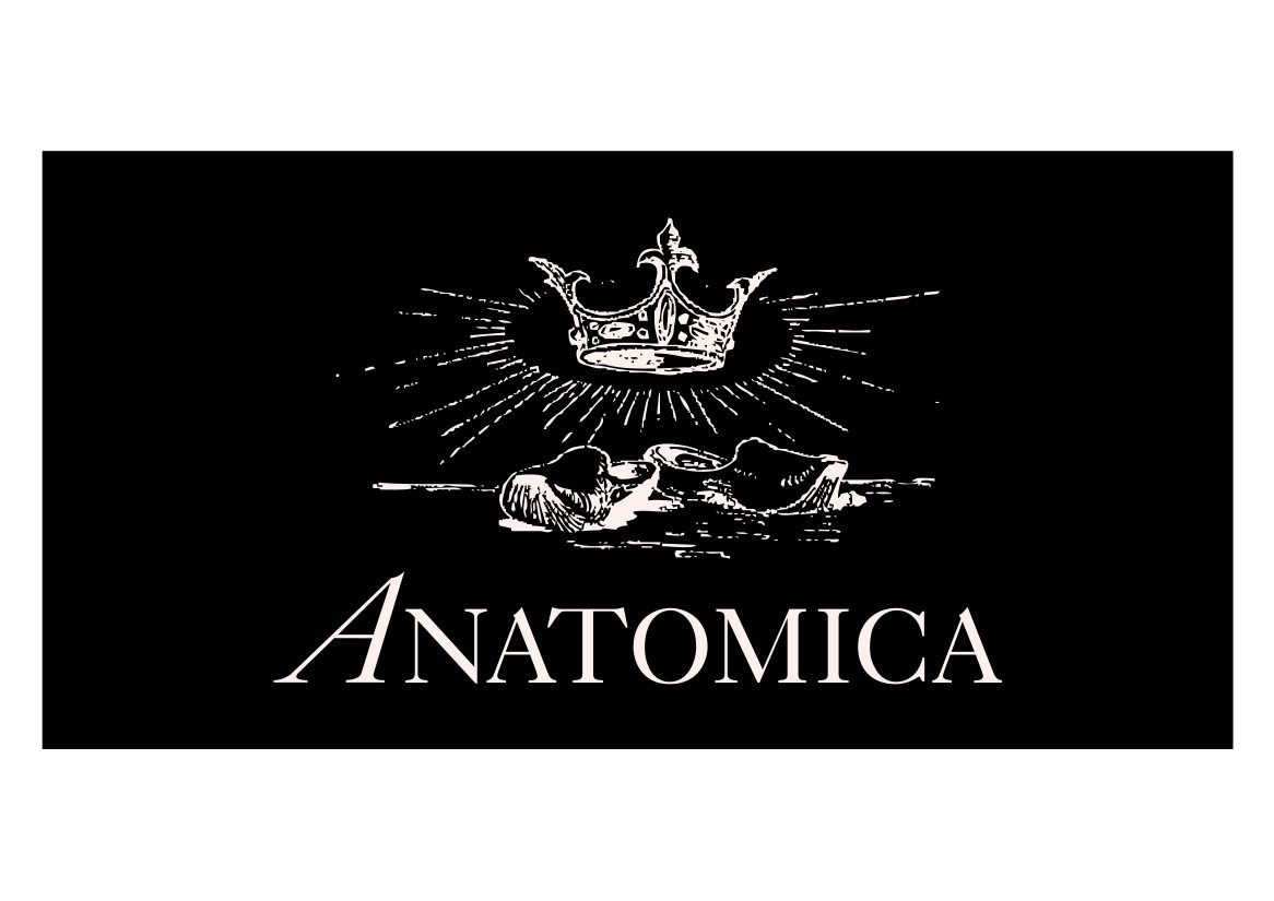 Anatomica Big Yank