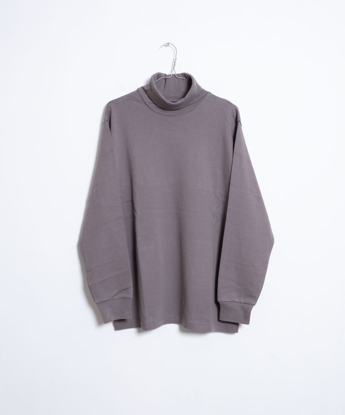 Neat Dress Turtleneck