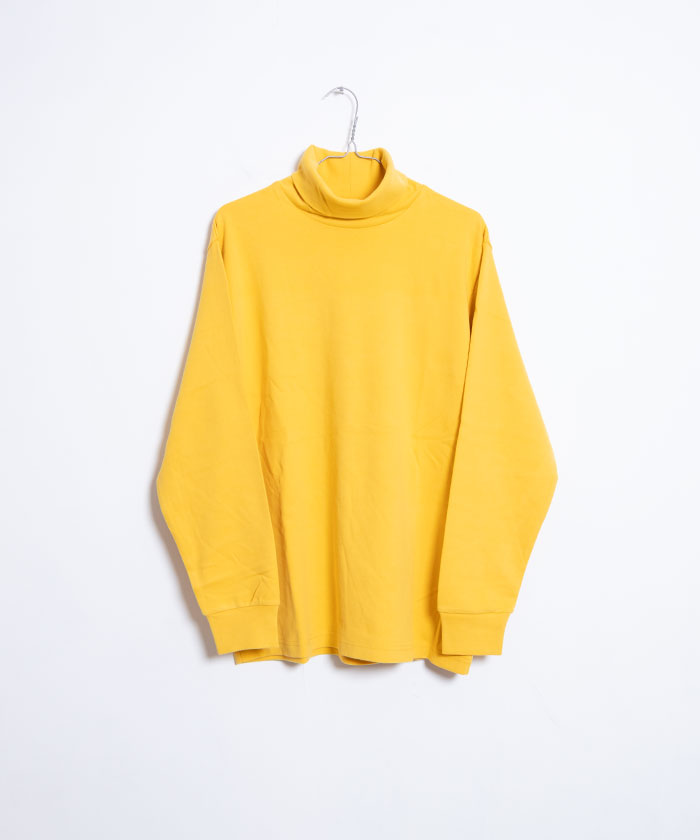 Neat Dress Turtleneck
