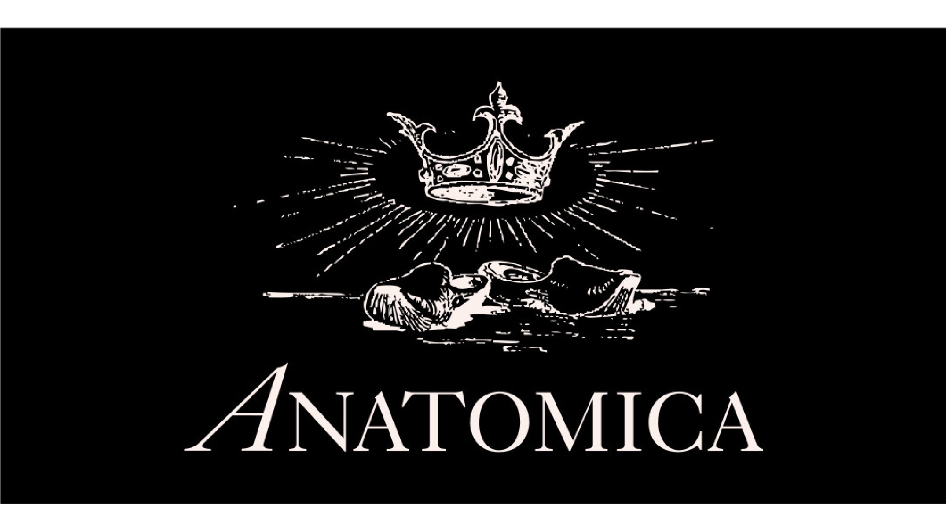 History of ANATOMICA