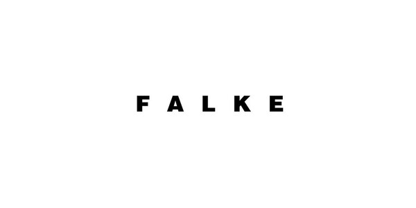 アイコンサイズFalke
