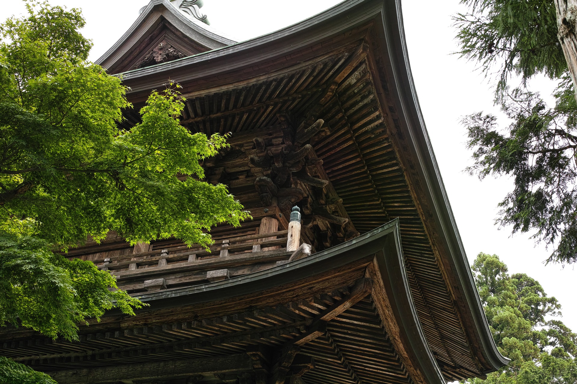 鎌倉作為旅遊勝地的歷史